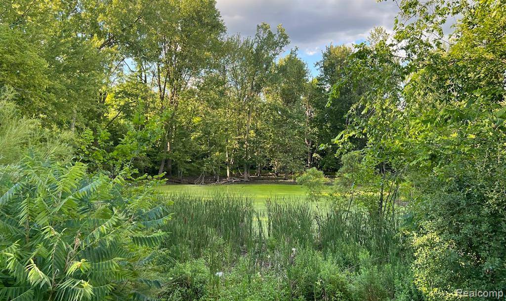 Northville, MI 48167,48002 8 MILE Road