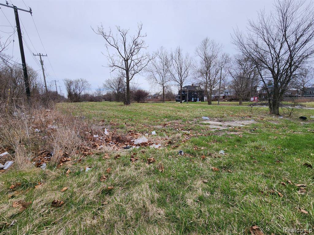 Detroit, MI 48215,958 KITCHENER Street