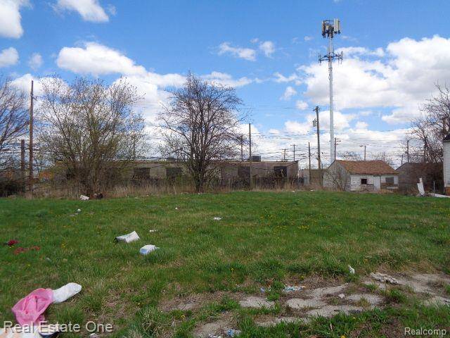 Hamtramck, MI 48212,11676 SAINT LOUIS Street