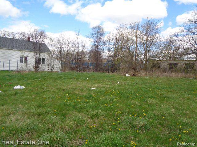 Hamtramck, MI 48212,11682 SAINT LOUIS Street