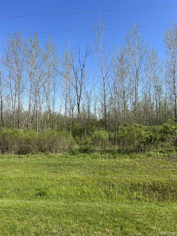 North Branch, MI 48461,VL Turtle Lake Road