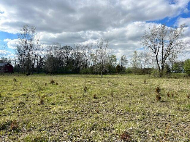 Corunna, MI 48817,395 FISH Drive