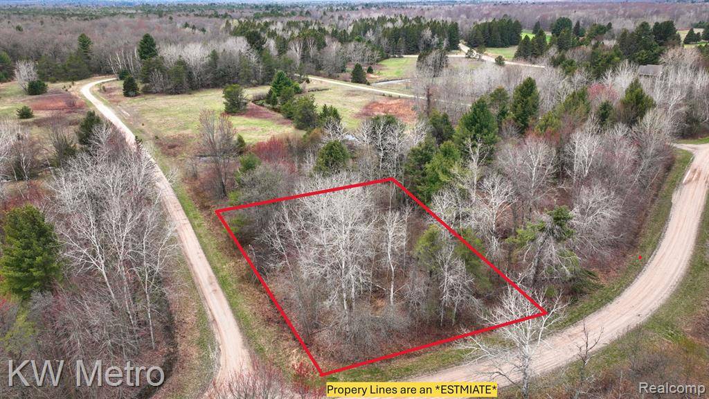 Oscoda, MI 48750,Lot 466 Tanglewood Drive