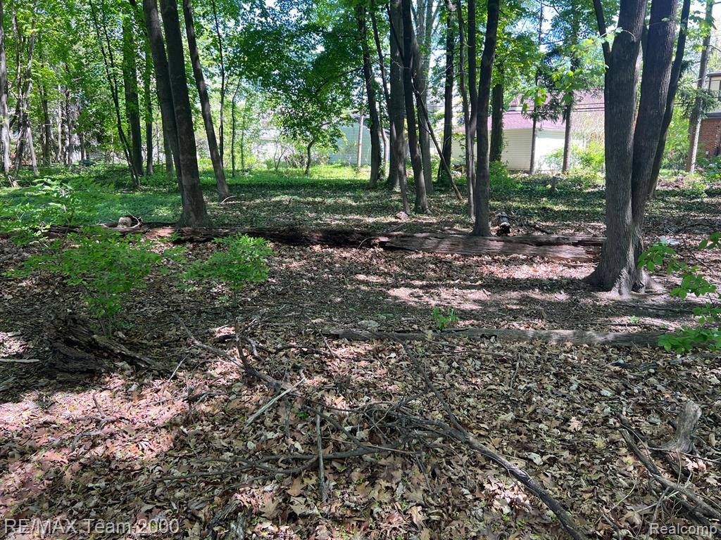 Dearborn, MI 48124,425 S TELEGRAPH Road