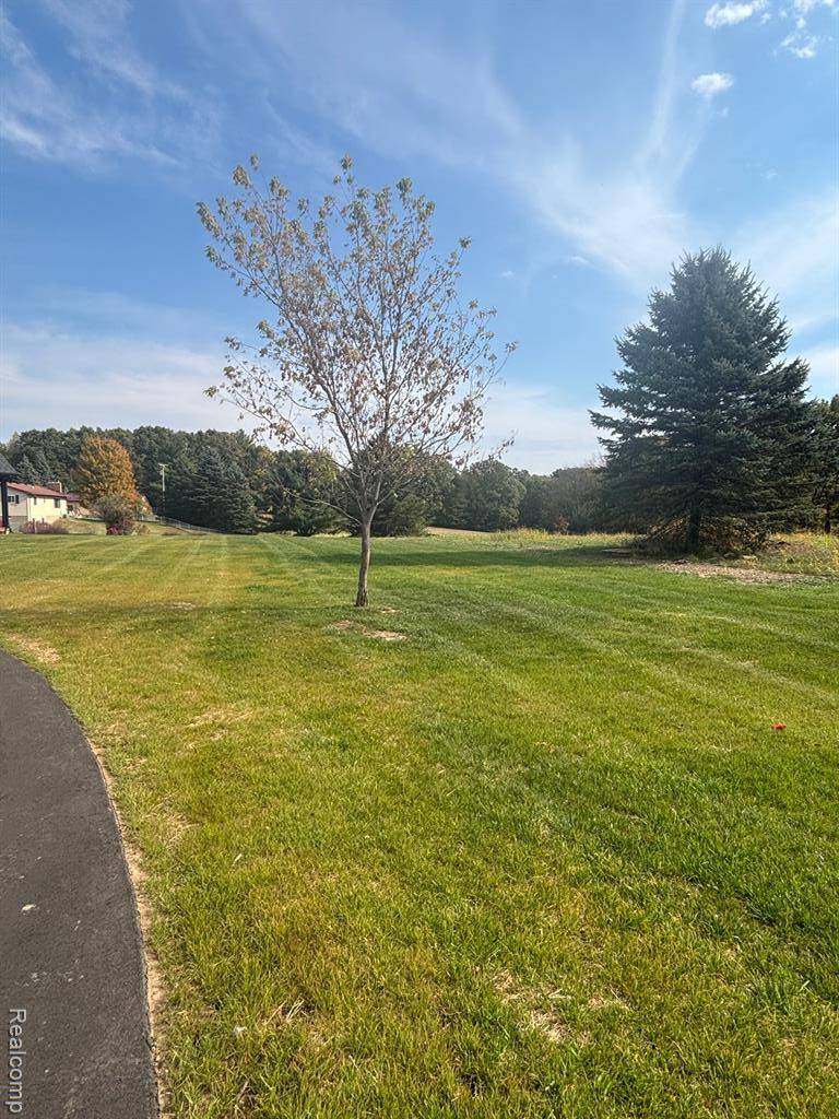 Lapeer, MI 48446,2039 GREATER OAK Drive