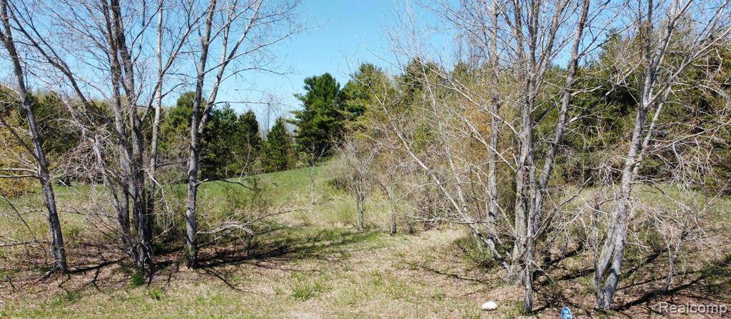 Suttons Bay, MI 49682,(Lot 17) 1884 S Walden Court