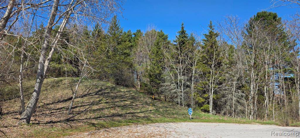Suttons Bay, MI 49682,(Lot 16) S Walden Court
