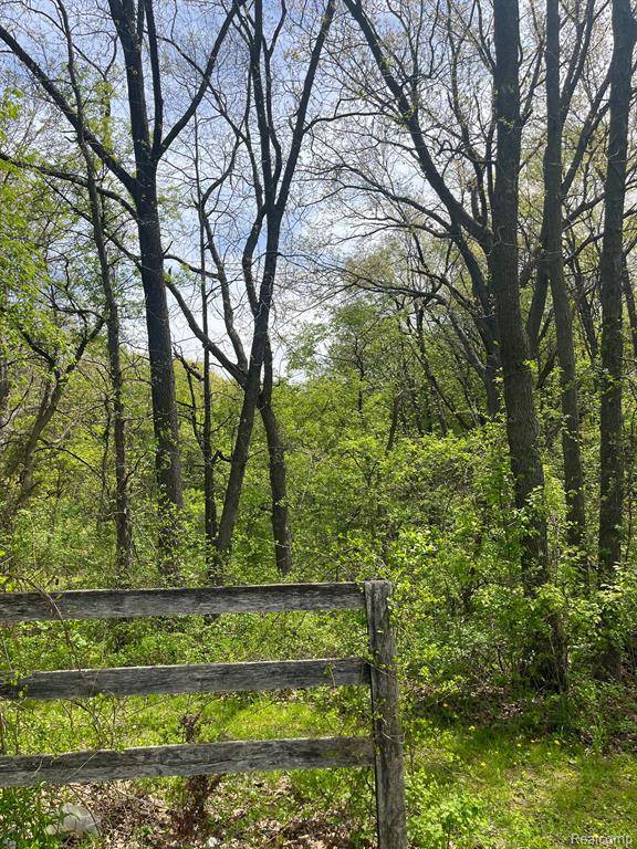 Clarkston, MI,6910 RIDGEWOOD Road
