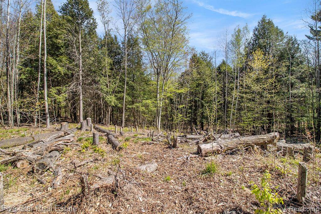 Onekama, MI 49675,0000 Smith Rd