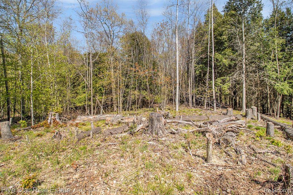 Onekama, MI 49675,0000 Smith Rd