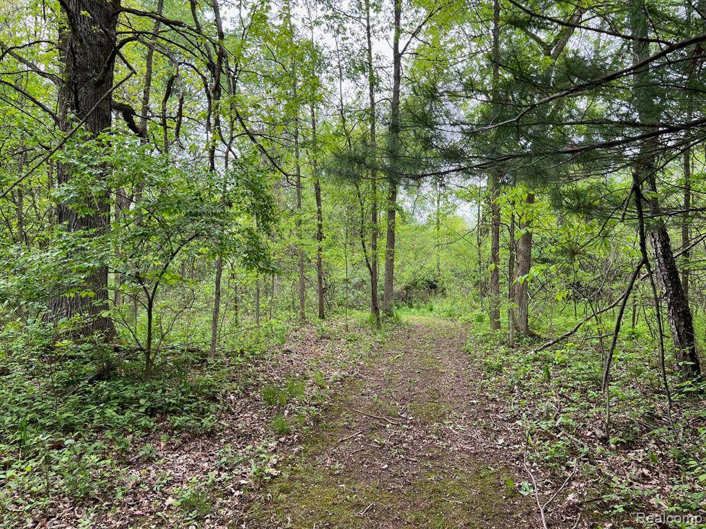 Attica, MI 48412,Lake George Lake George S Road