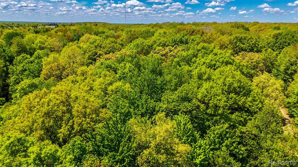 Arcadia, MI 48412,2905 N Lake Pleasant Road
