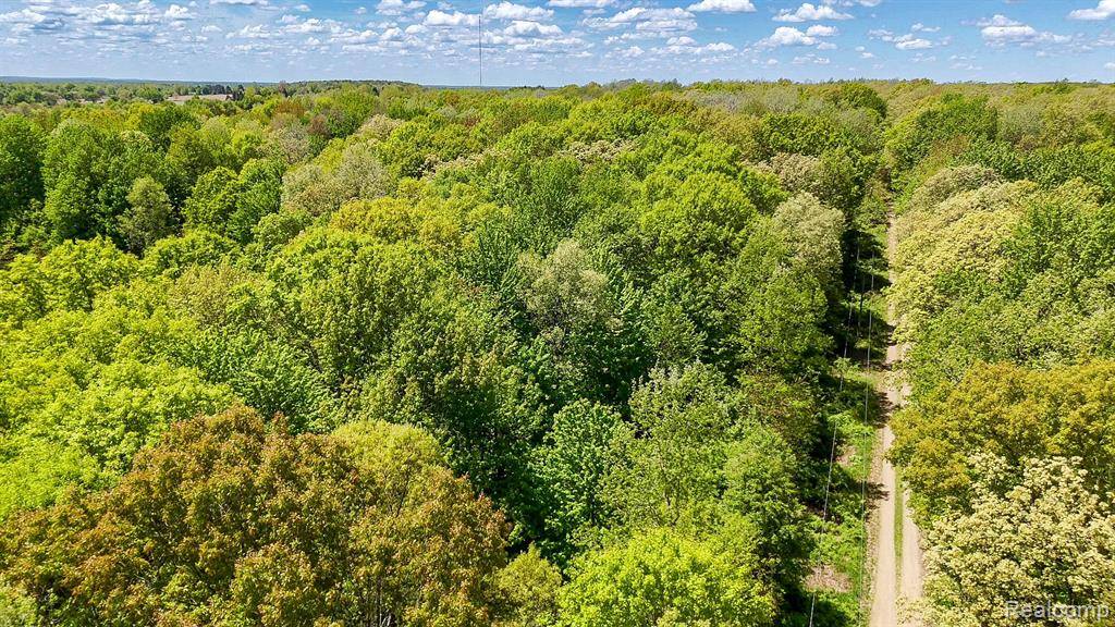 Arcadia, MI 48412,2905 N Lake Pleasant Road