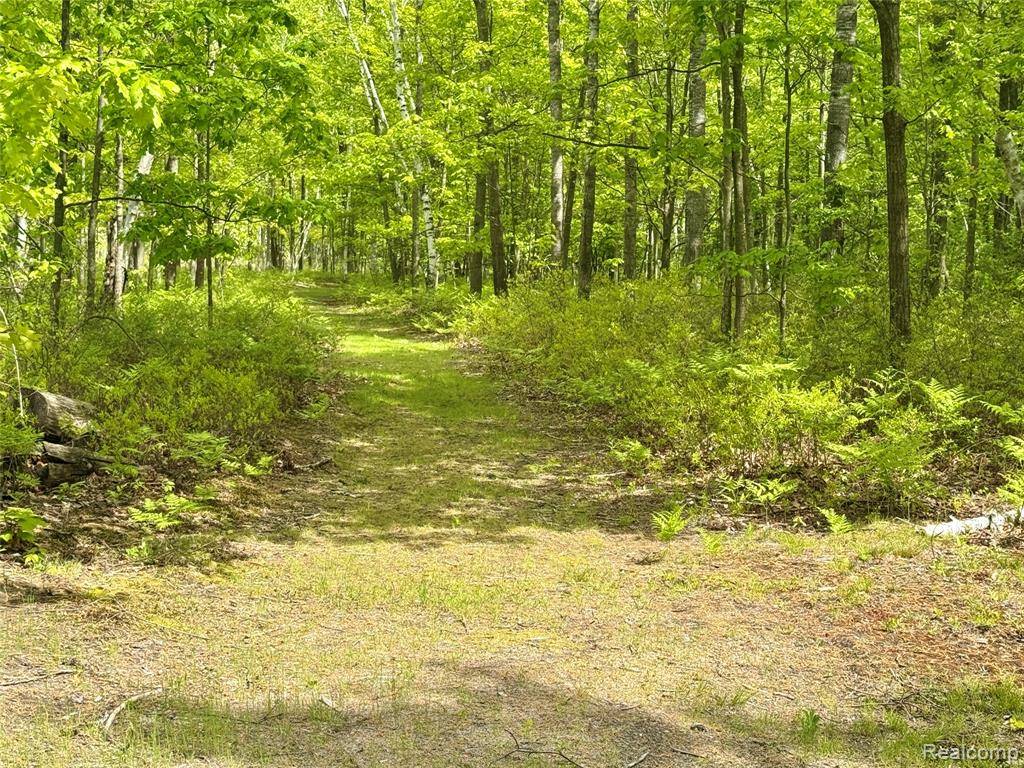 Gladwin, MI 48624,499 E Winegars Road
