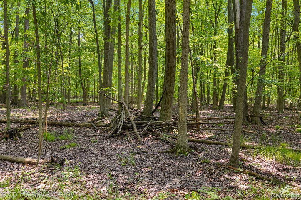Berlin, MI 48002,14721 Terry Road