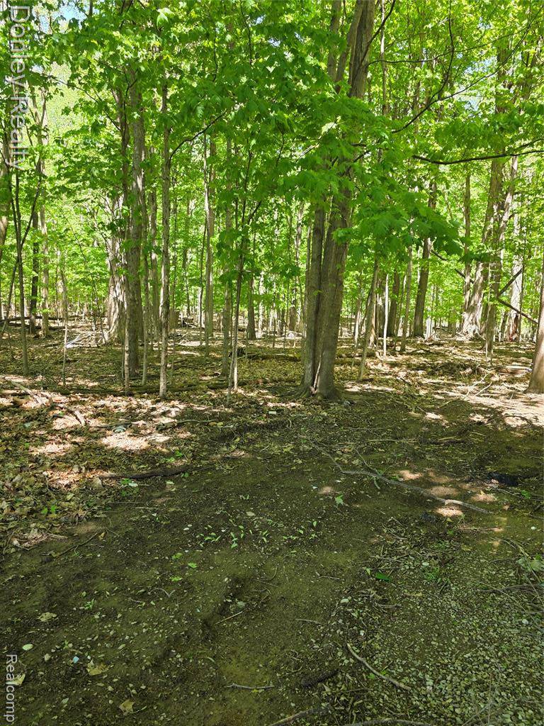 Marlette, MI 48453,5900 Frenchline Road