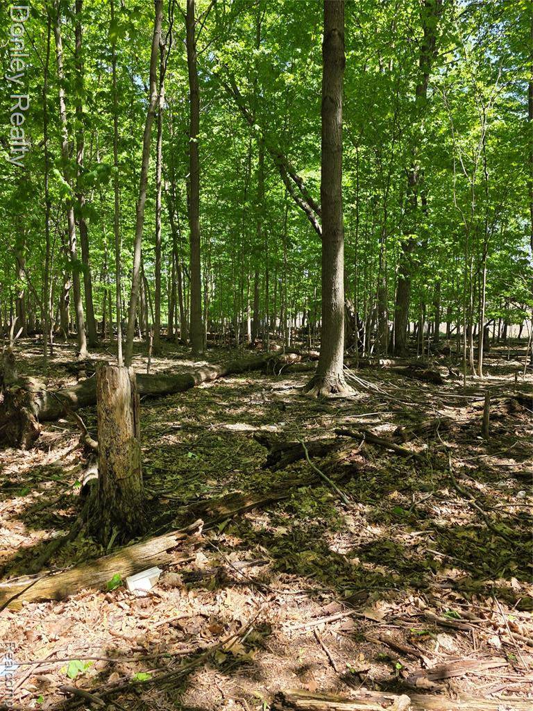 Marlette, MI 48453,5900 Frenchline Road