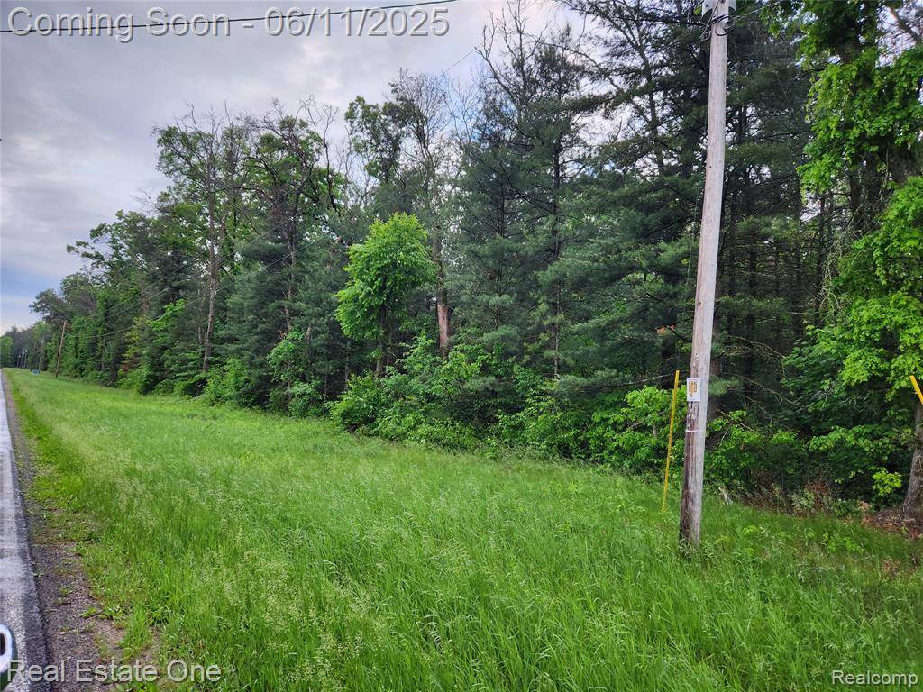 Howard City, MI 49329,0000 W W Almy Road
