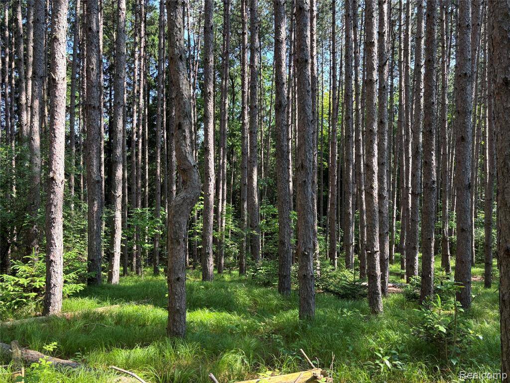 Attica, MI 48412,0000 Loggers Pass