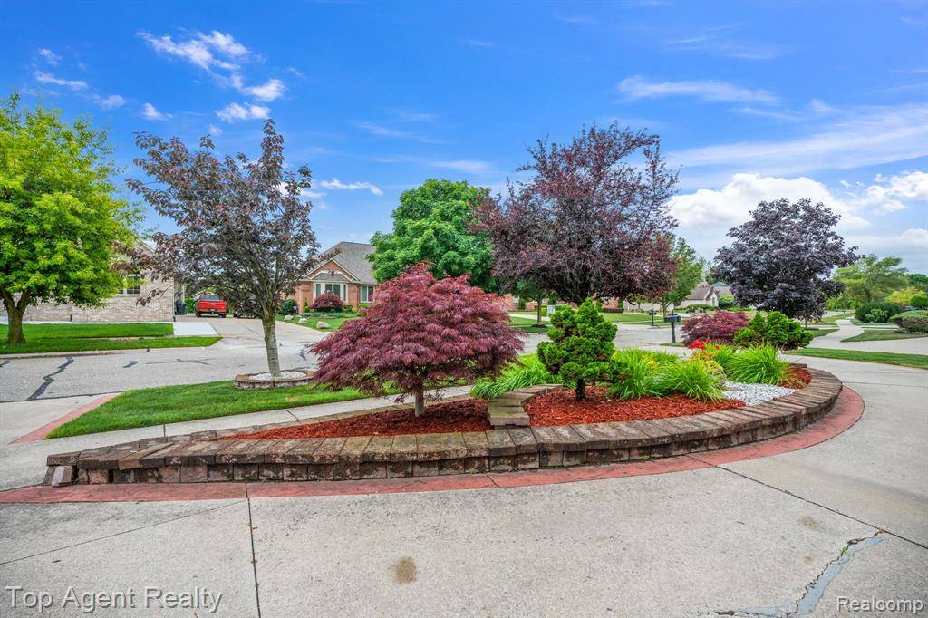 Shelby Twp, MI 48315,13205 Van Pamel Drive
