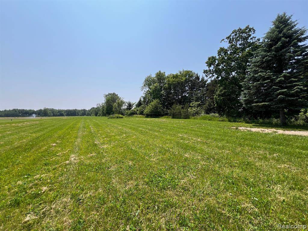 Clyde, MI 48049,0000 Walker Road