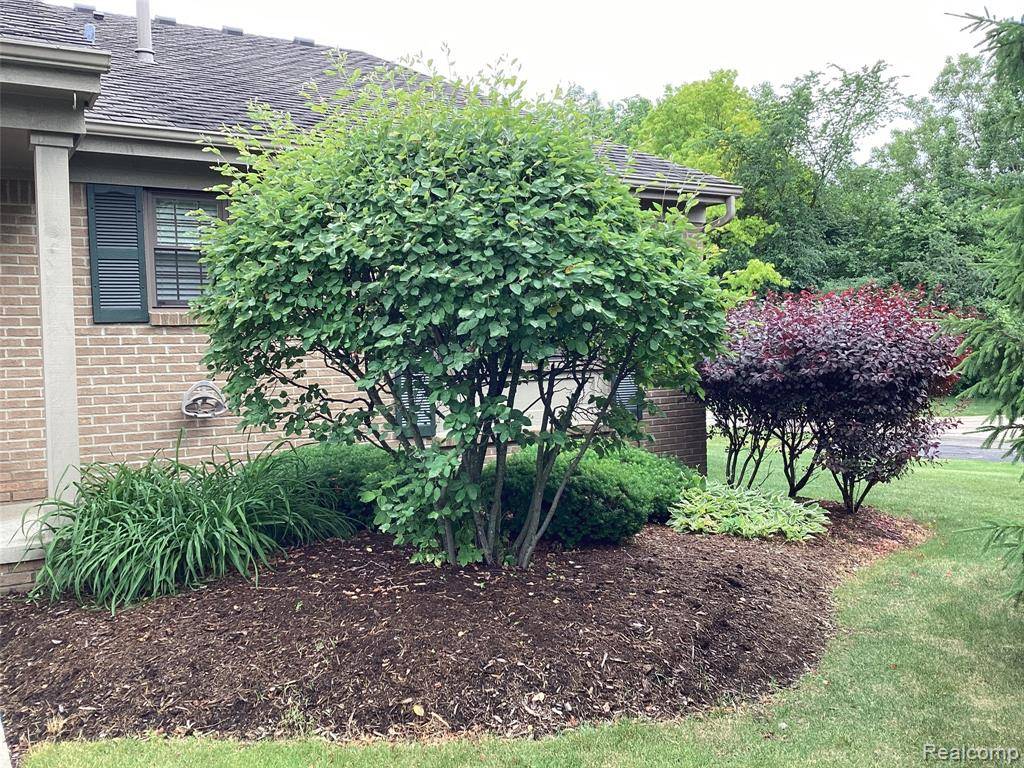 Farmington Hills, MI 48331,38547 Darbyshire