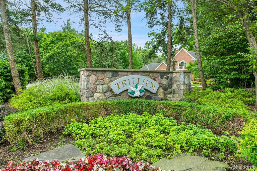 Farmington Hills, MI 48331,34750 Huntington LOT