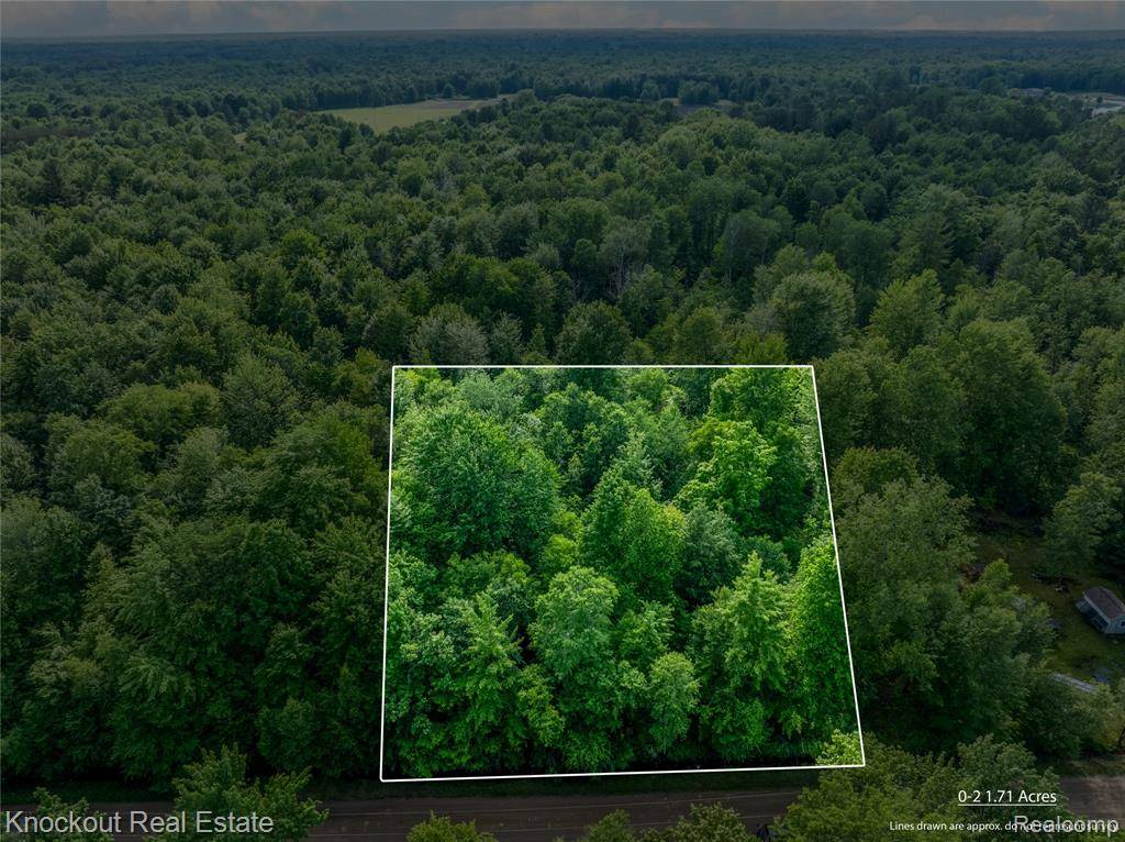 Vassar, MI 48768,#0047 V/L Maplegrove Lane