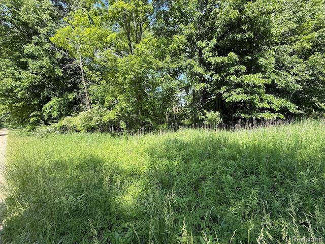 Brown, MI 48416,000 Bentley Road