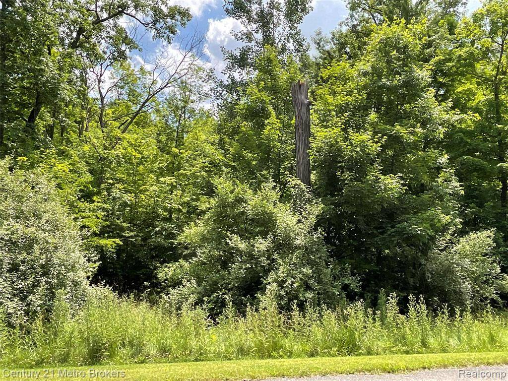 Lapeer, MI 48446,0 Jordyn Drive
