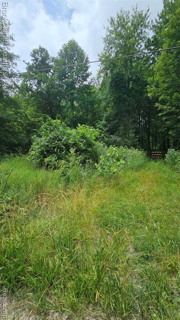 Willis, MI 48191,0 Bunton Road