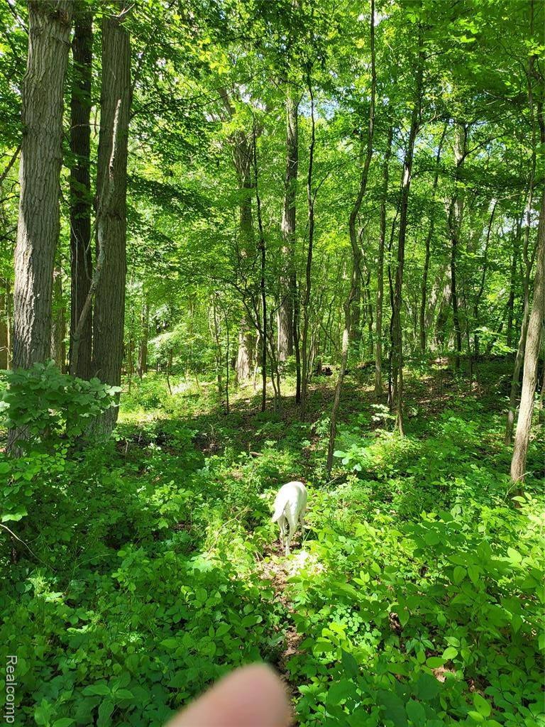 Milford, MI 48380,0000 Duana