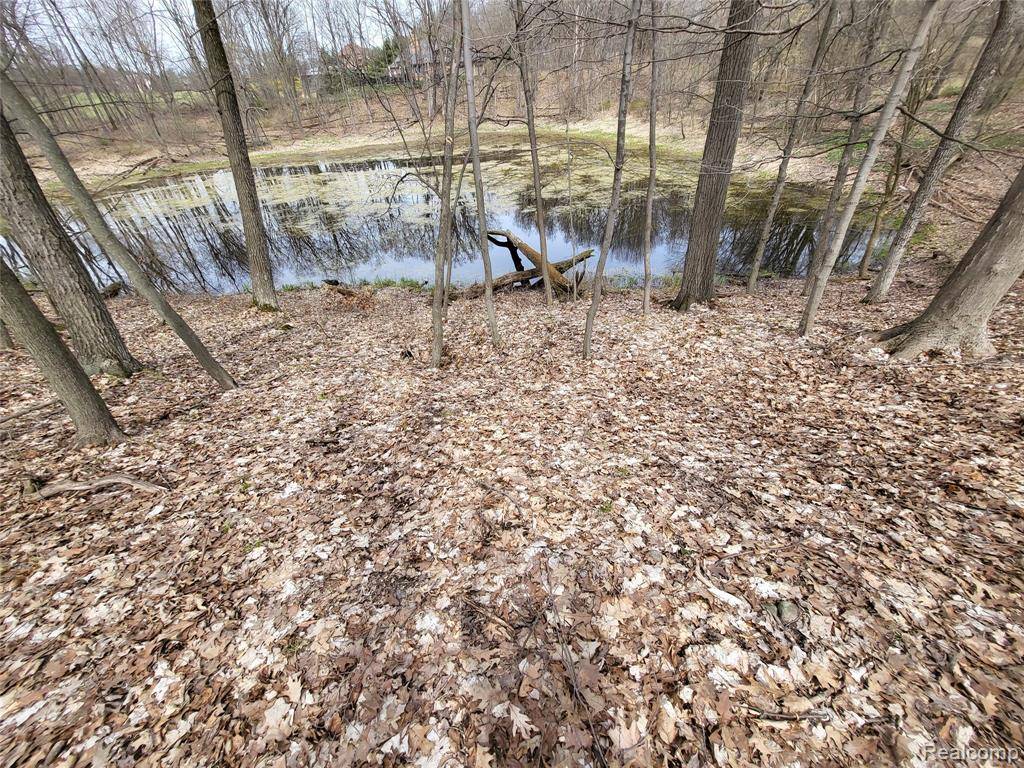Milford, MI 48380,0000 Duana