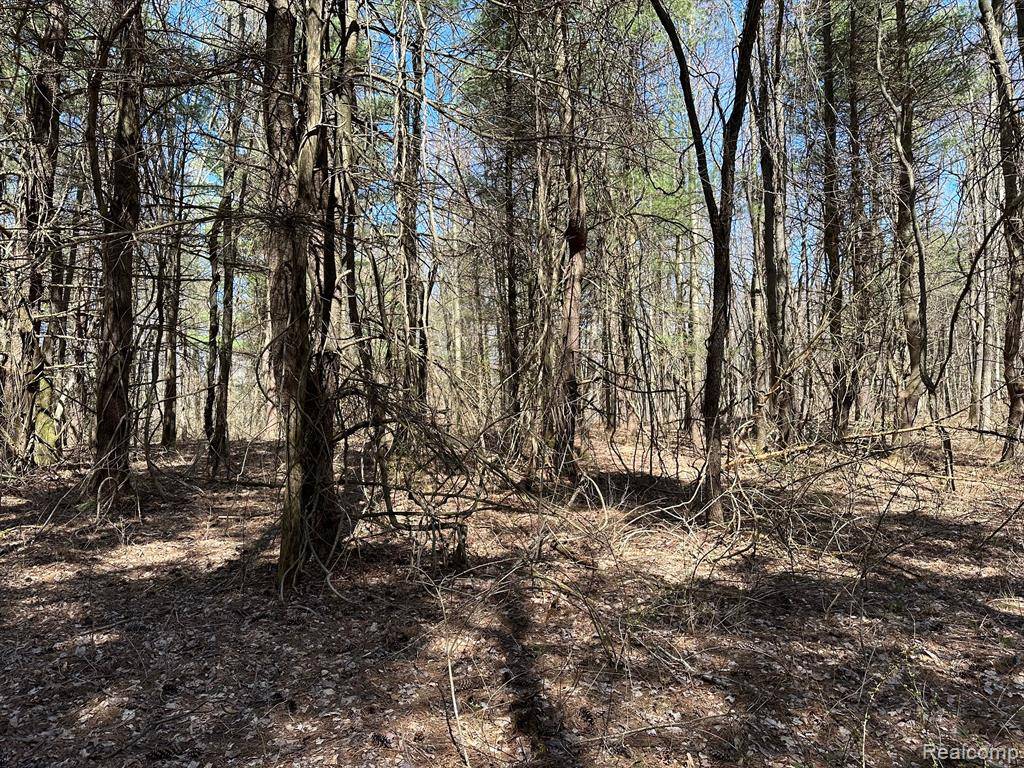 Leonard, MI 48367,2.02 Acres VL - KNIGHTS BRIDGE Road
