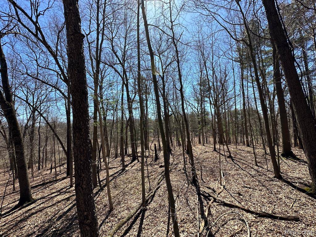 Leonard, MI 48367,2.05 Acres VL - KNIGHTS BRIDGE Road