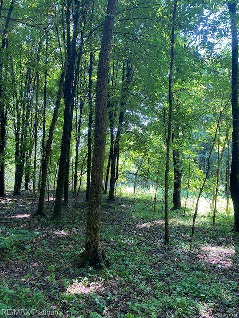 Howell, MI 48843,2 Sleaford-Parcel 2-3.2 Acres N Road