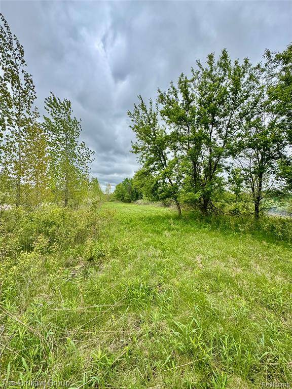Imlay City, MI 48444,00 Rider Road