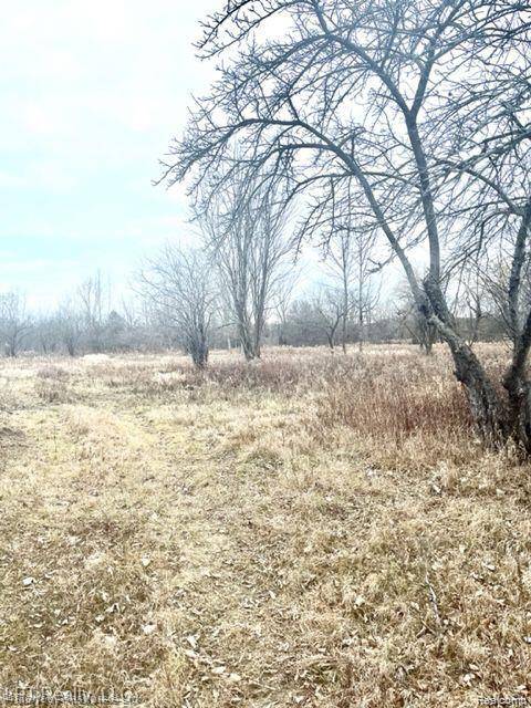 Northville, MI,7152 5 mile rd