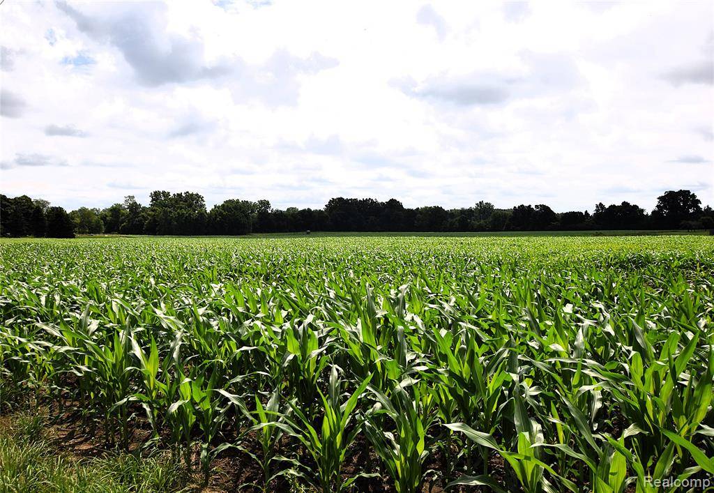 Otisville, MI 48463,V/L N Irish Road