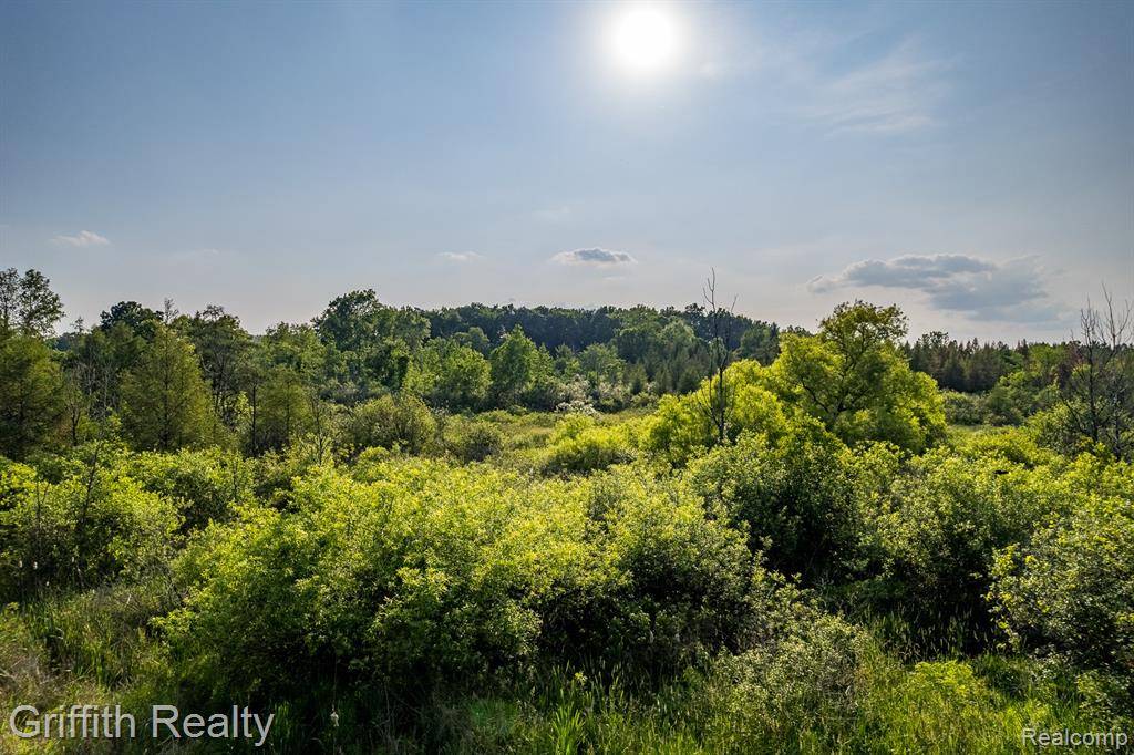 Howell, MI 48843,4433 Brighton Parcel D Road