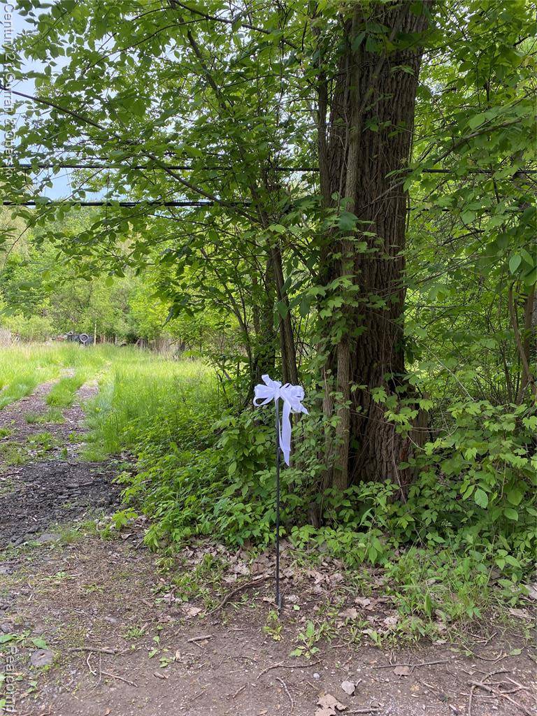 Canton, MI 48187,00000 Lotzford Road