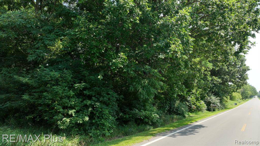 Dryden, MI 48428,0010 Mill N Road