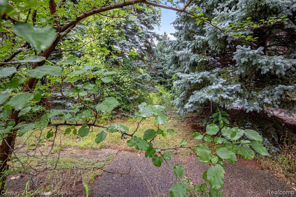 Detroit, MI 48202,435 King Street