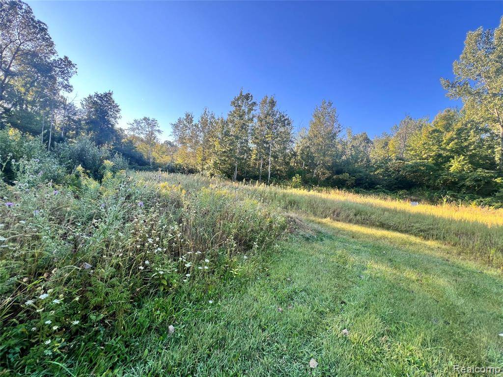 Exeter, MI 48117,8085 W Newburg Road