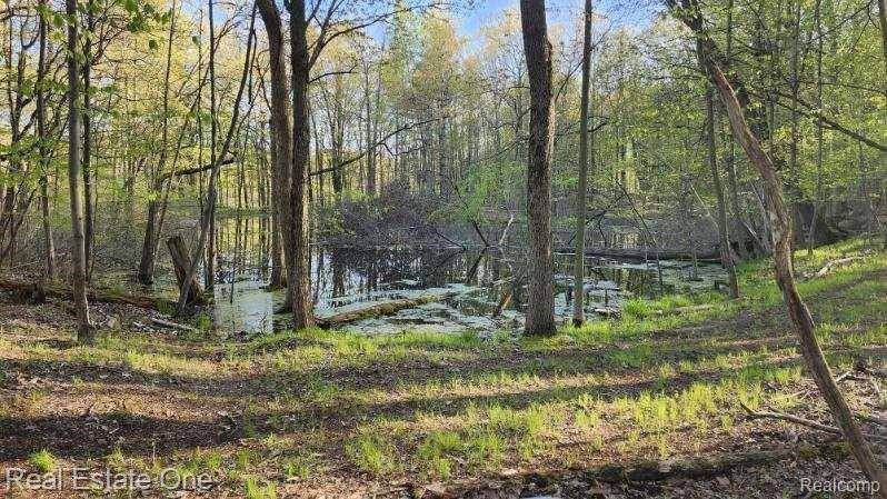 Oxford, MI 48367,0000 Curtis Rd Curtis Rd