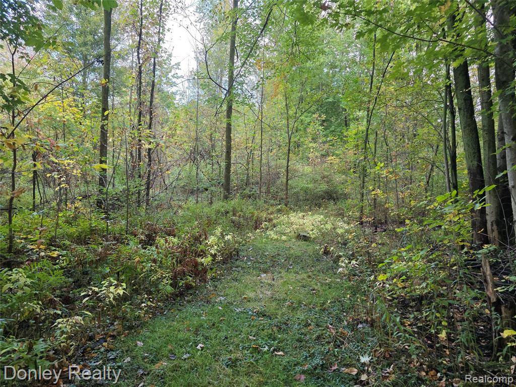 Cass City, MI 48726,5690 Van Dyke Road