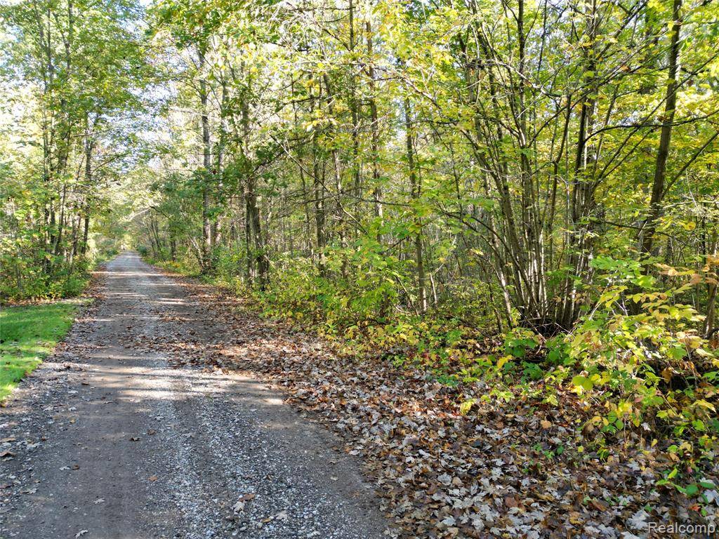Brighton, MI 48114,Lot #8 Deadwood