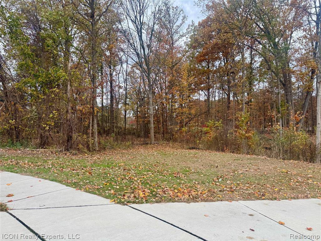 Shelby Twp, MI 48315,10380 Excalibur Drive