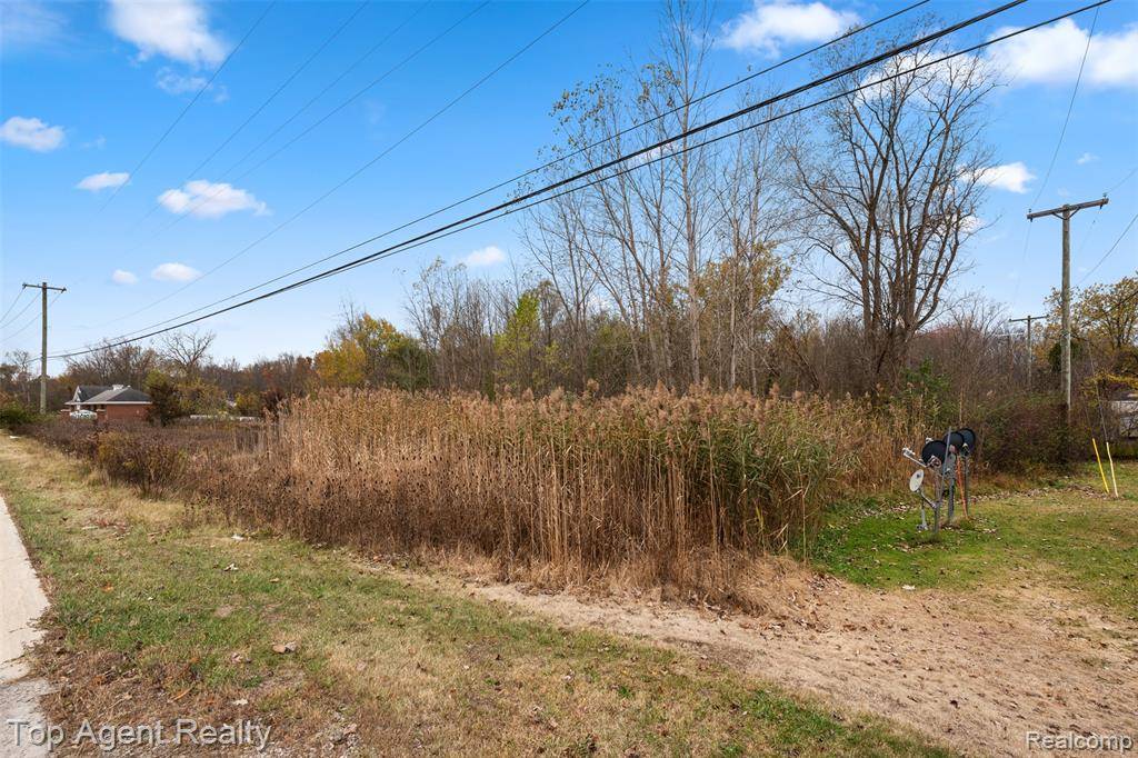 Leonard, MI 48367,433 Rochester Road