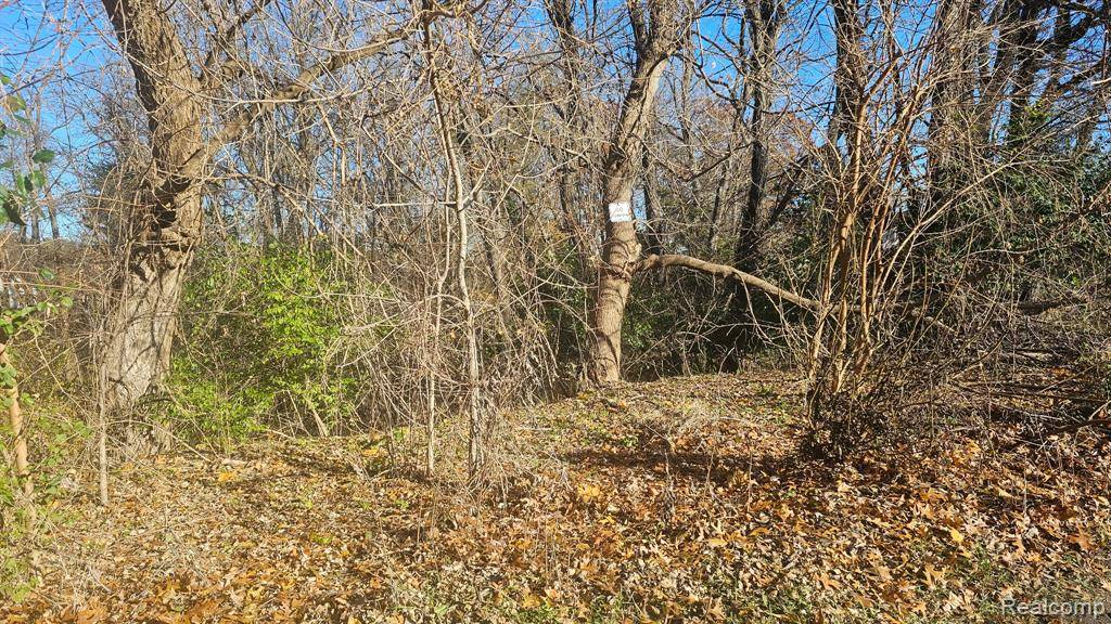 Brighton, MI 48116,000 Hillpoint Drive